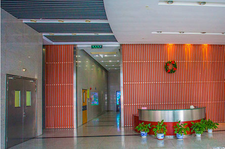 中天新世纪大厦