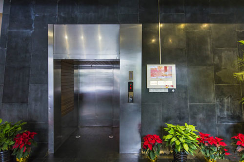 德必法华525创意树林