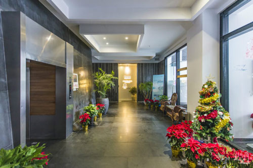 德必法华525创意树林