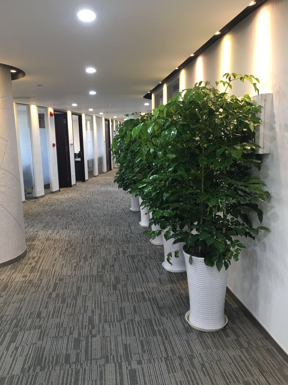 易事达商务中心（中期大厦）