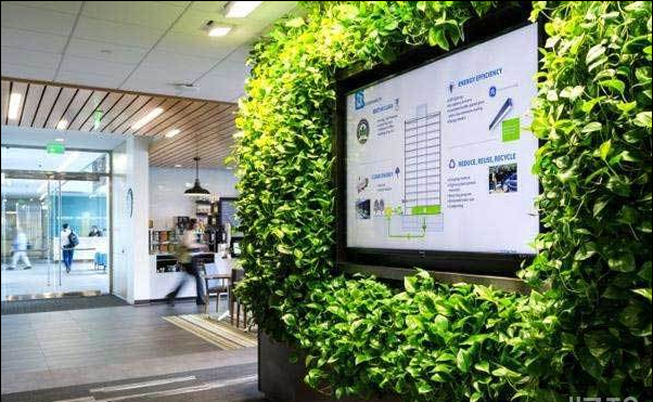 办公室装饰指南 办公室绿植应该如何设计