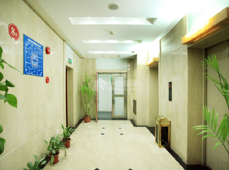 飞雕商务大厦公共区域