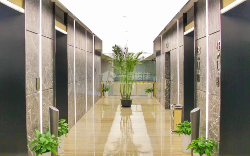 紫竹数字创意港