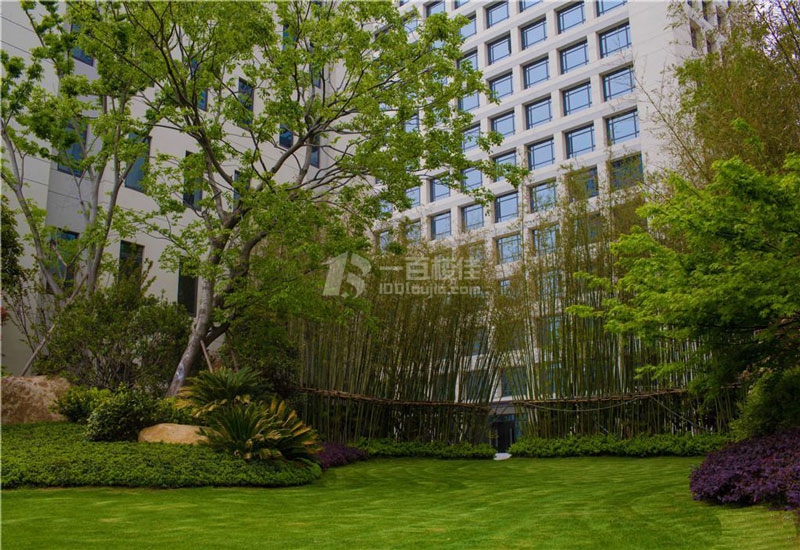 星月智汇湾周边环境