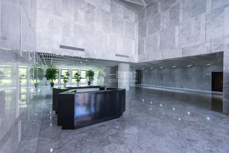 大华虎城商务中心大堂