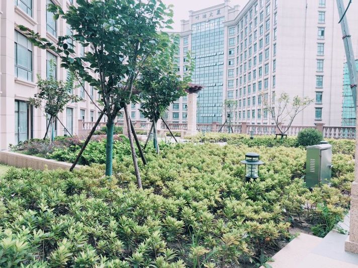 虹桥叶迪商务园